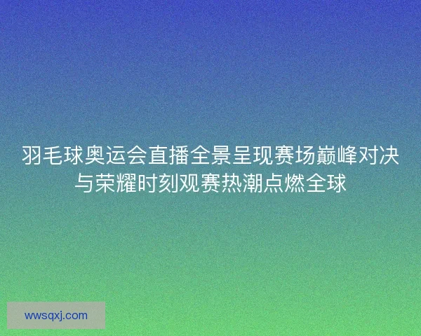 羽毛球奥运会直播全景呈现赛场巅峰对决与荣耀时刻观赛热潮点燃全球